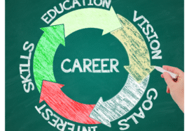 Career Counselling and Mentorship Programme