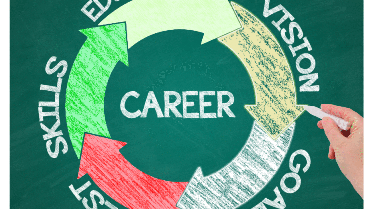 Career Counselling and Mentorship Programme