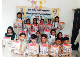 Habibullah Patujo Educational Academy – Mehar